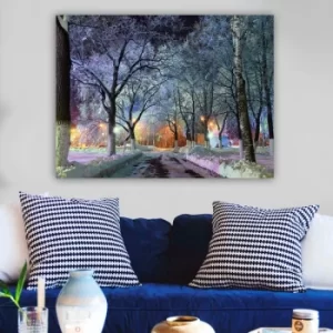 Image of 122635513_70100 Multicolor Decorative Canvas Painting