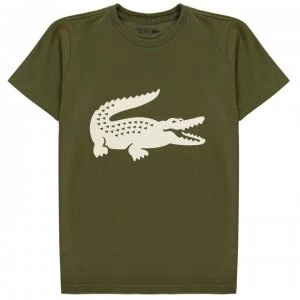 Image of Lacoste Junior Boys Large Logo T Shirt - Khaki/White