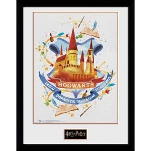 Image of Harry Potter Hogwarts Paint Framed Collector Print