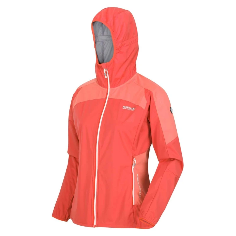 Image of Regatta Tarvos IV Lightweight Softshell Jacket - Orange Orange 10