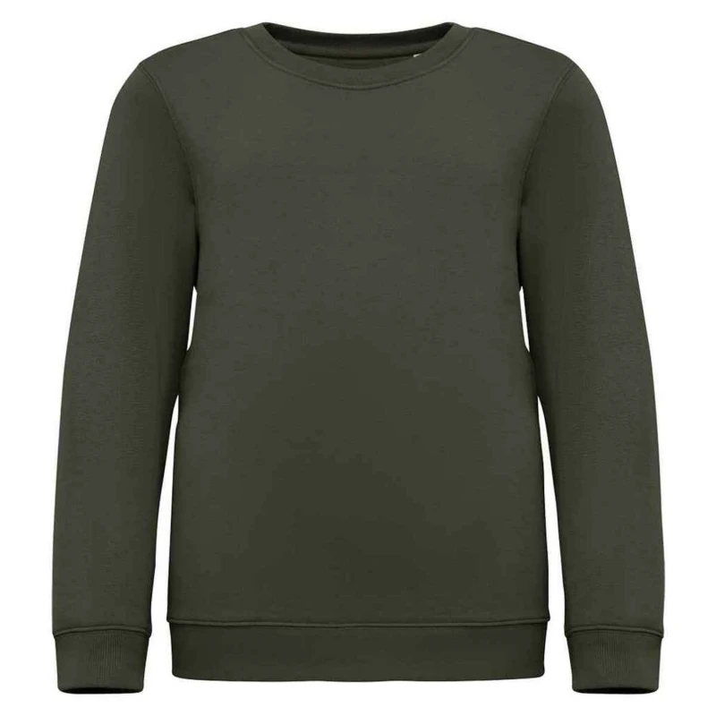 Image of Native Spirit PC5120 girls's Children's sweater in Multicolour