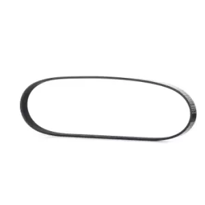 Image of RIDEX V-ribbed belt VW,AUDI,SKODA 305P0391 Serpentine belt,Auxiliary belt,Poly V-belt,Ribbed belt,Multi V-belt,Poly belt