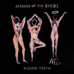 Image of Jealous Of The Birds - Wisdom Teeth Vinyl