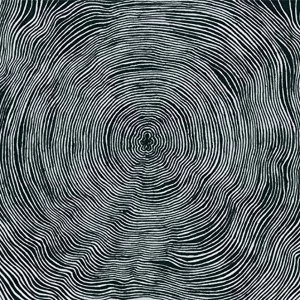 Image of Bleeding Heart Pigeons - Is Vinyl