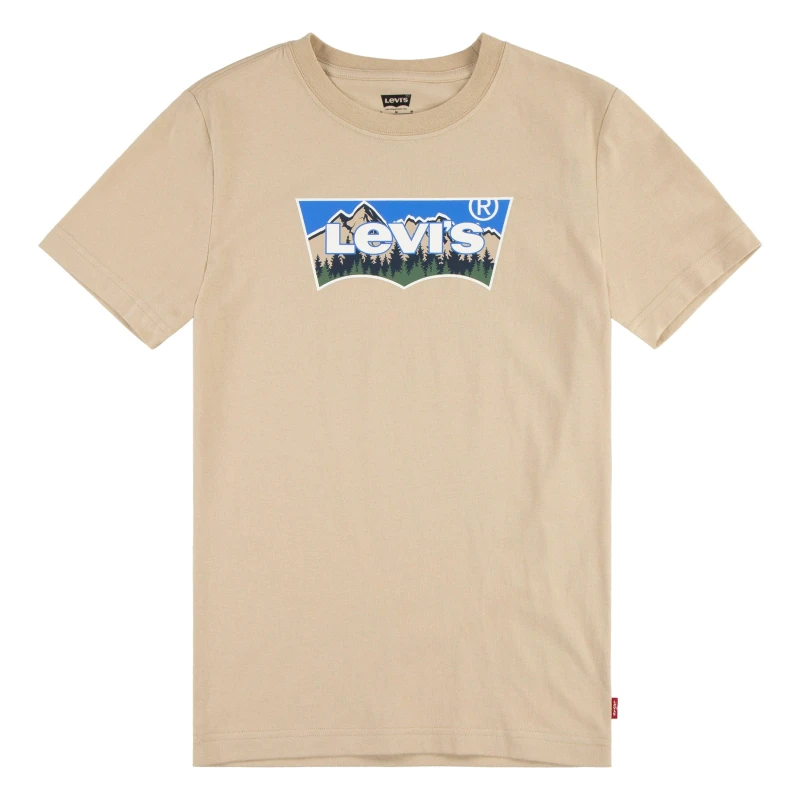 Image of Levis Teenager Forested Mountains Batwing Tee - Boy's - 10A - Beige / Safari