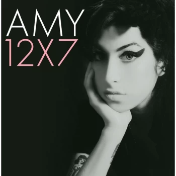 Image of Amy - 12X7 (The Singles Collection) Vinyl