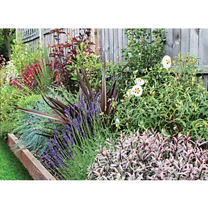 Image of Garden On A Roll Wildlife Border Pack 8m x 60cm Plants