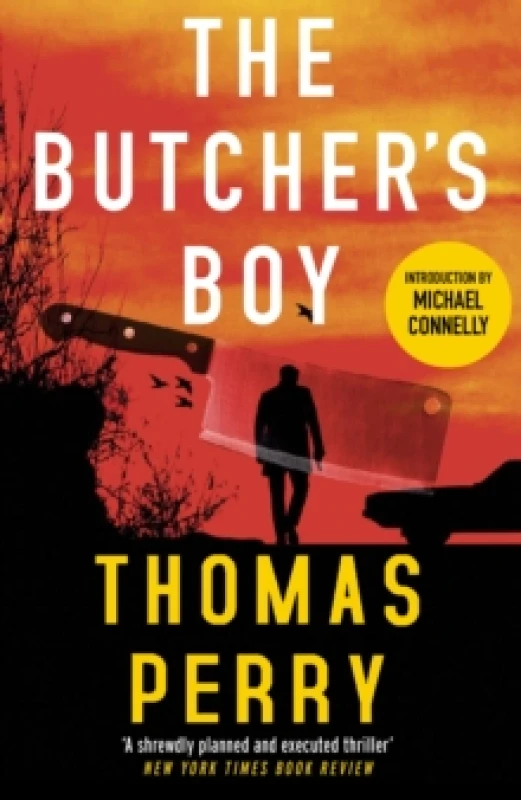 Image of The Butcher's Boy Paperback / softback