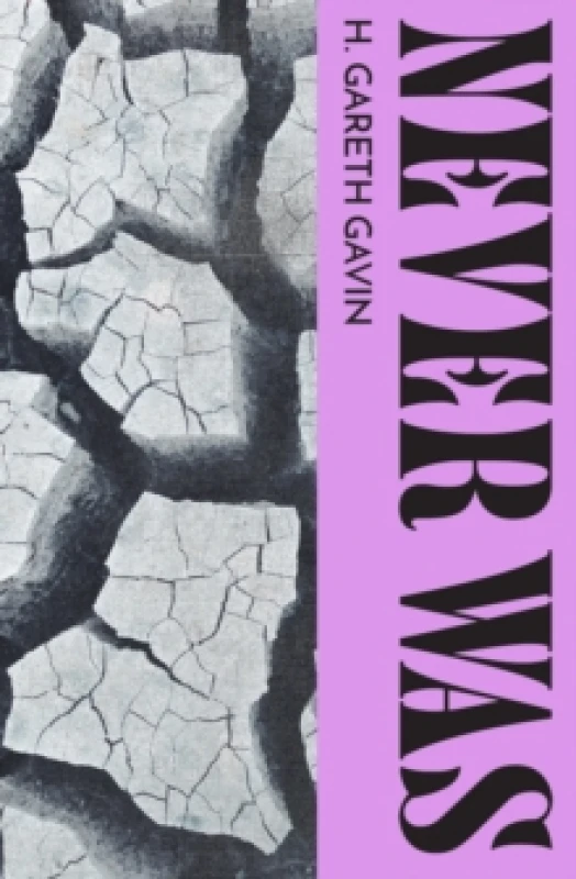 Image of Never Was Paperback / softback