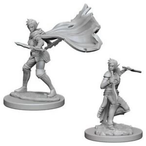 Image of Pathfinder Deep Cuts Unpainted Miniatures Elf Female Rogue