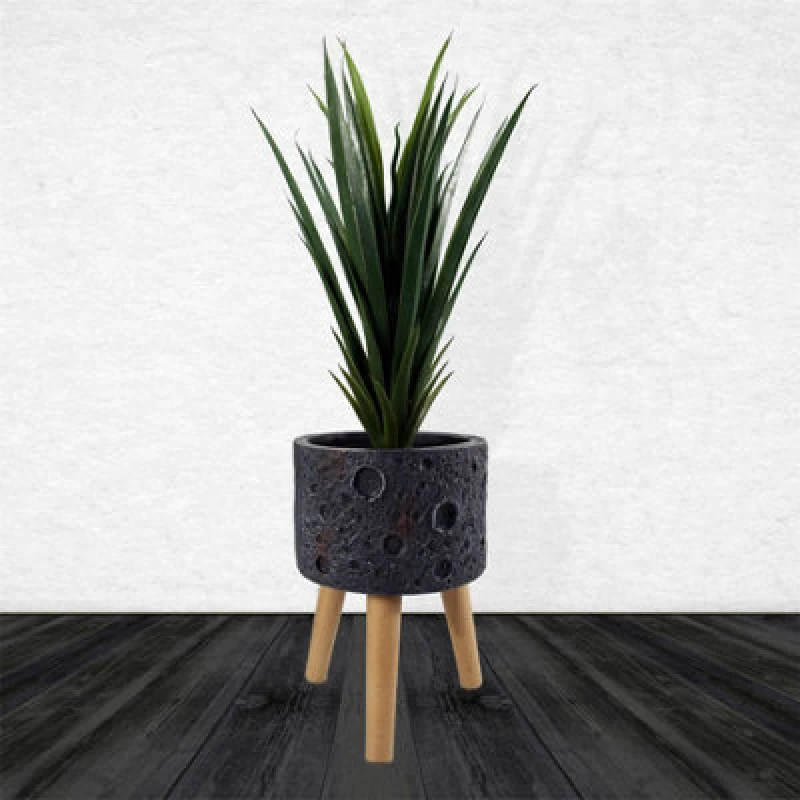 Image of Leaf Moon Black Planter with Stand Black unisex