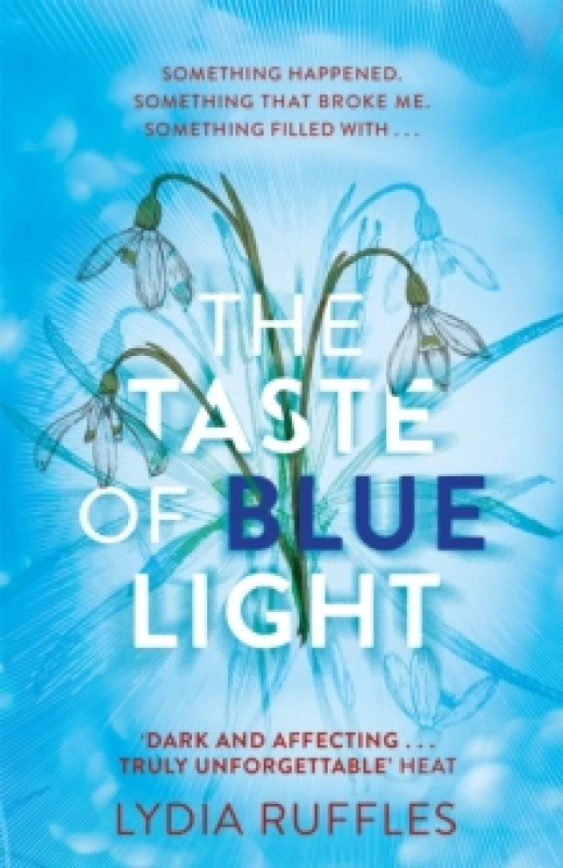 Image of Lydia Ruffles The Taste of Blue Light Book Multi unisex