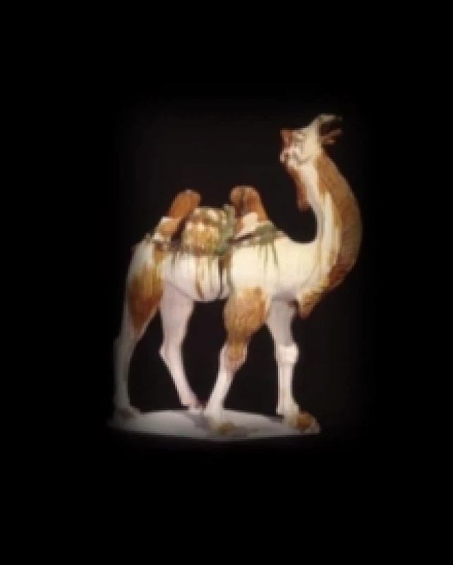 Image of Silk Roads Hardback