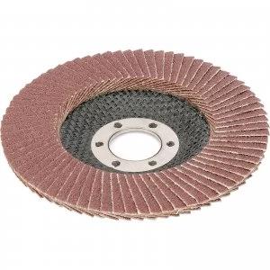 Image of Draper Aluminium Oxide Flap Disc 115mm 60g