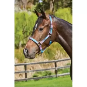 Image of Weatherbeeta Ombre Headcollar - Brown