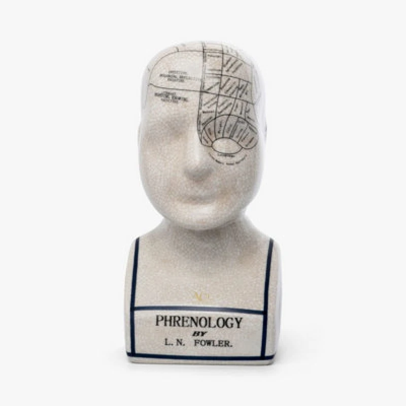 Image of MSL Premium Quality 8" Ceramic Phrenology Head - Authentic Reproduction for Educational Purposes