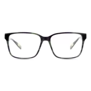 Image of Ted Baker Noble TB 8198 Glasses