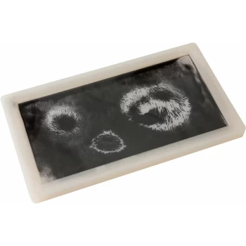 Image of Magnetic Field Display Window - White - 225 x 130 x 15mm - Shaw Magnets