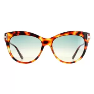 Image of Cat Eye Havana Green Gradient Kira FT0821