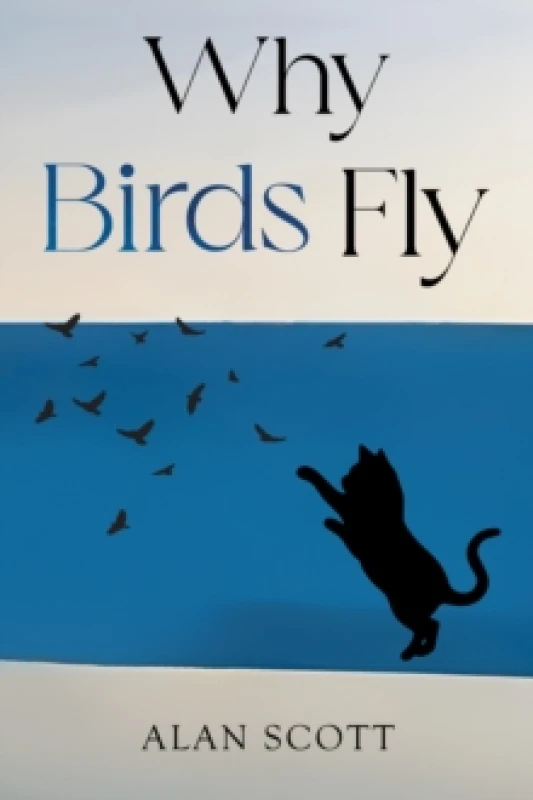 Image of Why Birds Fly Paperback / softback