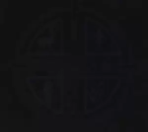 Image of A Filthy Orgy of Horror and Death by Morbid Slaughter Vinyl Album