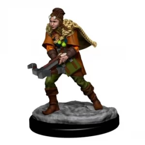 Image of D&amp;D Icons of the Realms Premium Figures (W4) Human Ranger Female