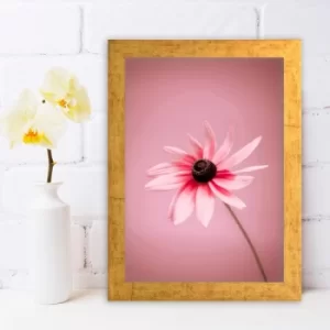 Image of AC346430355 Multicolor Decorative Framed MDF Painting