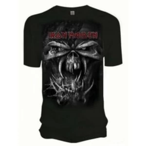 Image of Iron Maiden Final Frontier Eddie Vintage Mens T Shirt: Me
