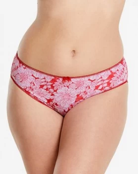 Image of Elomi Kim Floral Briefs