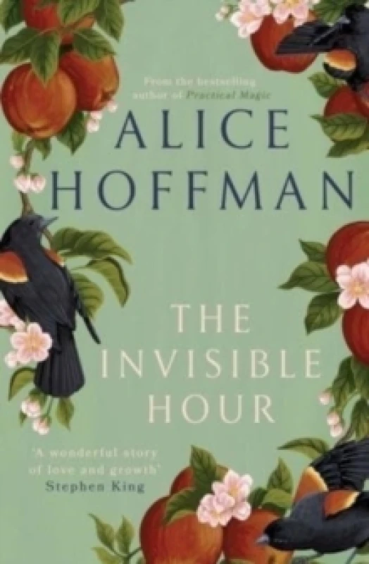 Image of The Invisible Hour Paperback / softback