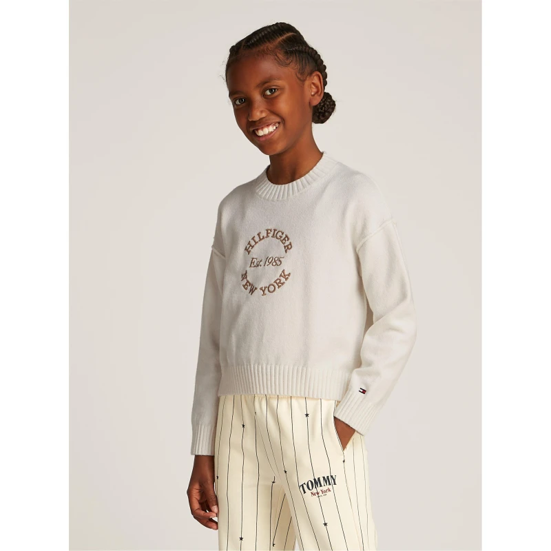 Image of Tommy Hilfiger HILFIGER NEW YORK SWEATER Jumpers 6Y Cream 30530169155