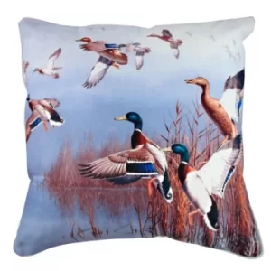 Image of A10952 Multicolor Cushion