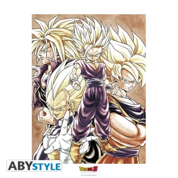 Image of Dragon Ball - Saiyans Collector Artprint