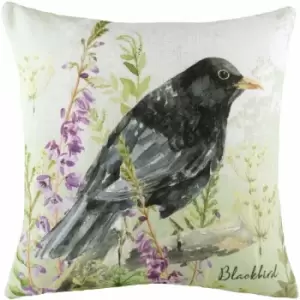 Image of Evans Lichfield Blackbird Cushion Cover (43cm x 43cm) (Multicoloured) - Multicoloured