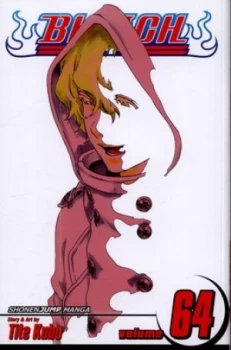 Image of Death in Vision by Tite Kubo Book