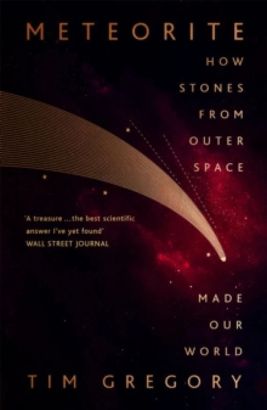 Image of Meteorite : How Stones From Outer Space Made Our World Paperback / softback