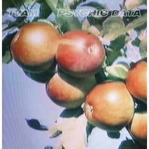 Image of Tvam - Psychic Data Vinyl