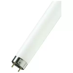 Image of Philips Fluorescent 4ft T8 Tube 36W MASTER TL-D 90 Graphica Daylight