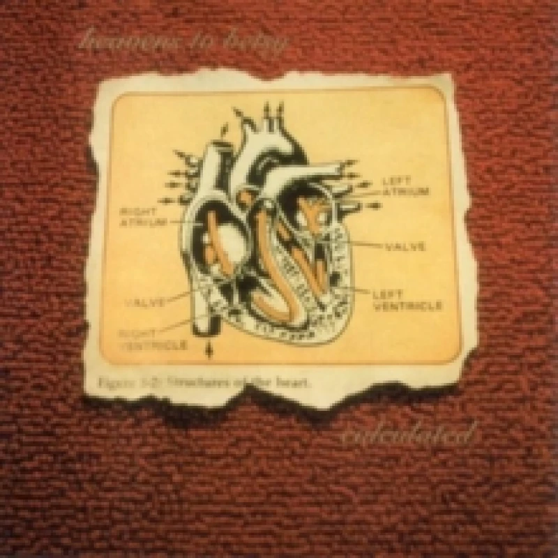 Image of Calculated Vinyl