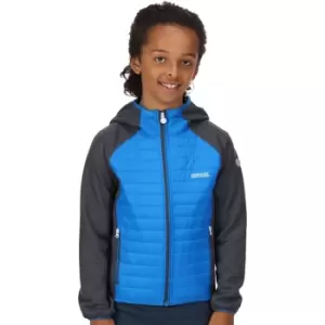 Image of Regatta Boys Kielder Hybrid V Durable Softshell Jacket 14 Years - Chest 86-98cm (Height 164-170cm)