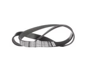 Image of DAYCO V-ribbed belt FORD 6PK1029EE 1740957,1809955 Serpentine belt,Auxiliary belt,Poly V-belt,Ribbed belt,Multi V-belt,Poly belt