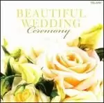 Image of beautiful wedding ceremony