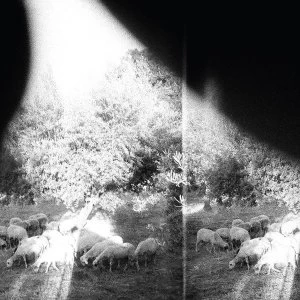 Image of Godspeed You Black Emperor - Asunder Sweet And Other Distress Vinyl