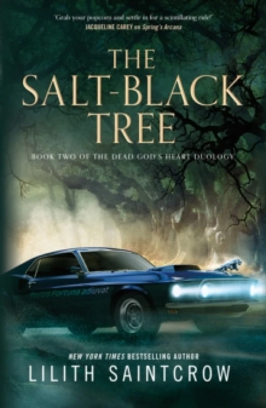 Image of The Salt-Black Tree. Paperback. By Lilith Saintcrow Books