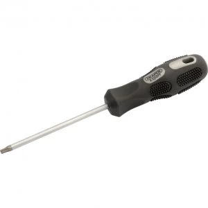 Image of Draper Expert Security Torx Screwdriver T20 100mm