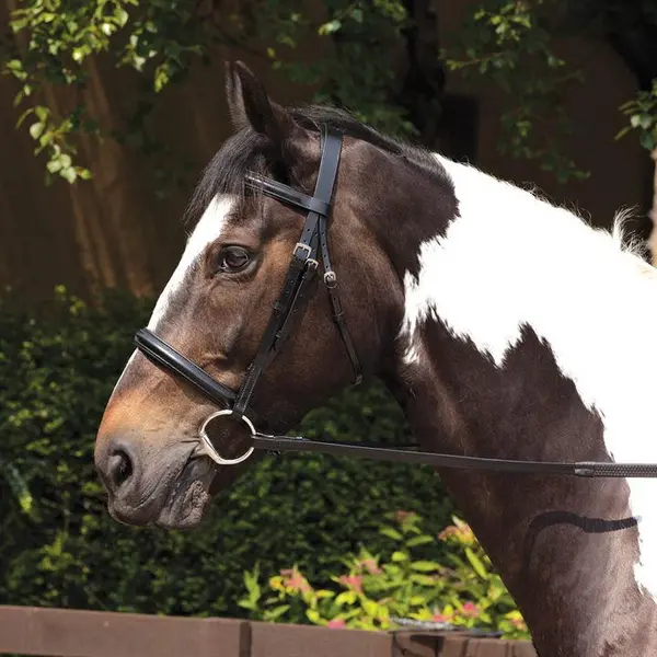 Image of Requisite Raised Bridle and Reins - Black Pony