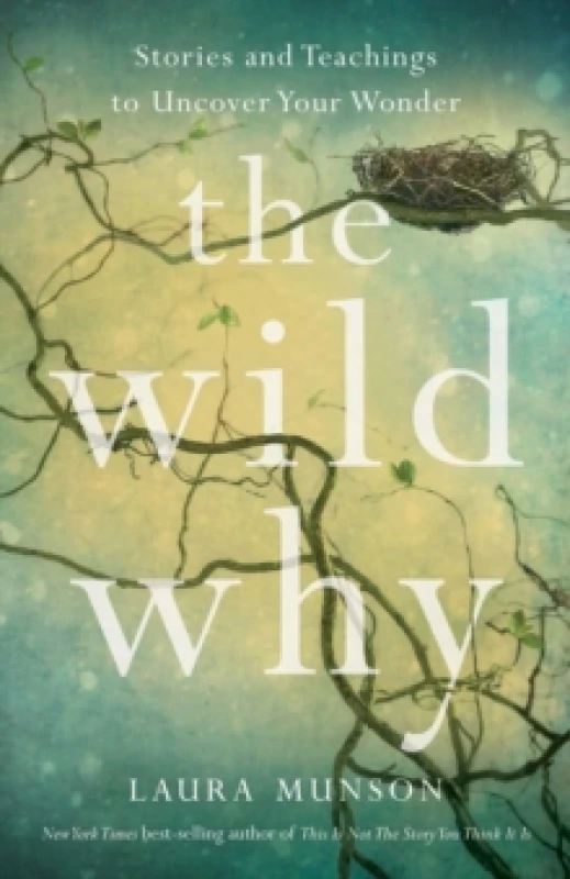 Image of The Wild Why : Returning to Your Wonder Paperback / softback