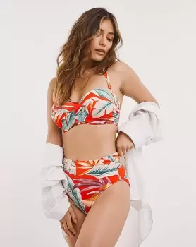 Image of Fantasie Bamboo Grove Full Bikini Brief