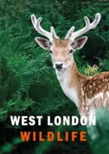 Image of West London Wildlife