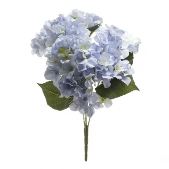 Image of Blue Hydrangea Bunch